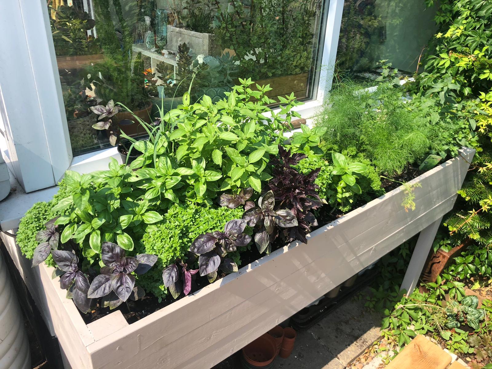 DIY herb planter filled with mixed herbs
