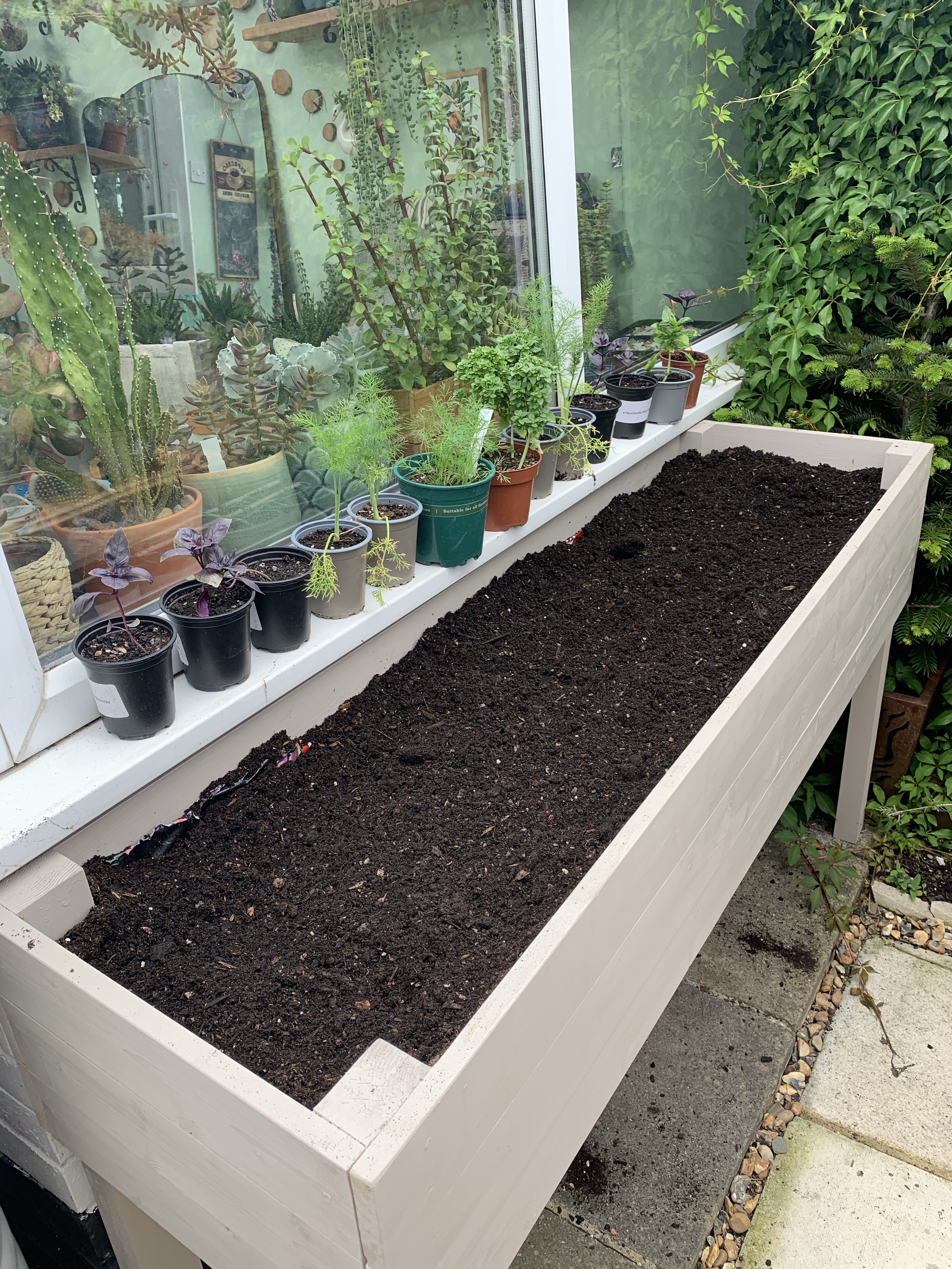 herb planter filled with compost